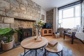Smart TV, fireplace, books