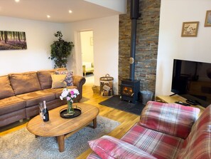 TV, fireplace - Country cottage - Pentre-Cwrt (Pentre-cwrt)