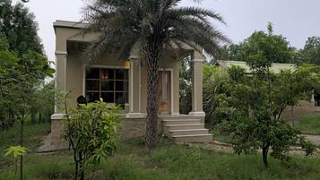 Un bâtiment à deux étages avec une façade beige, un palmier au premier plan et un escalier menant à l’entrée.