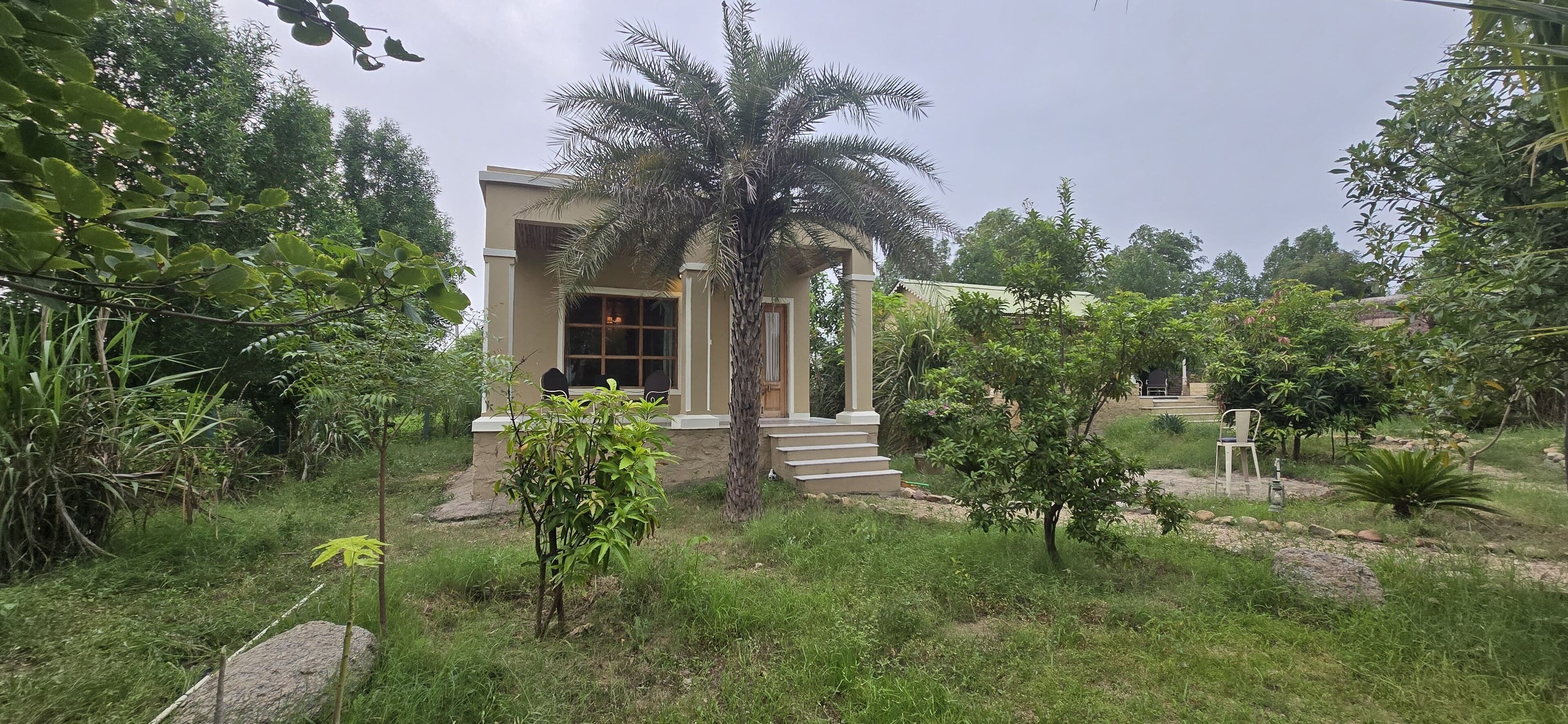 A building with a stone facade, a palm tree in the foreground, and a chair outside.