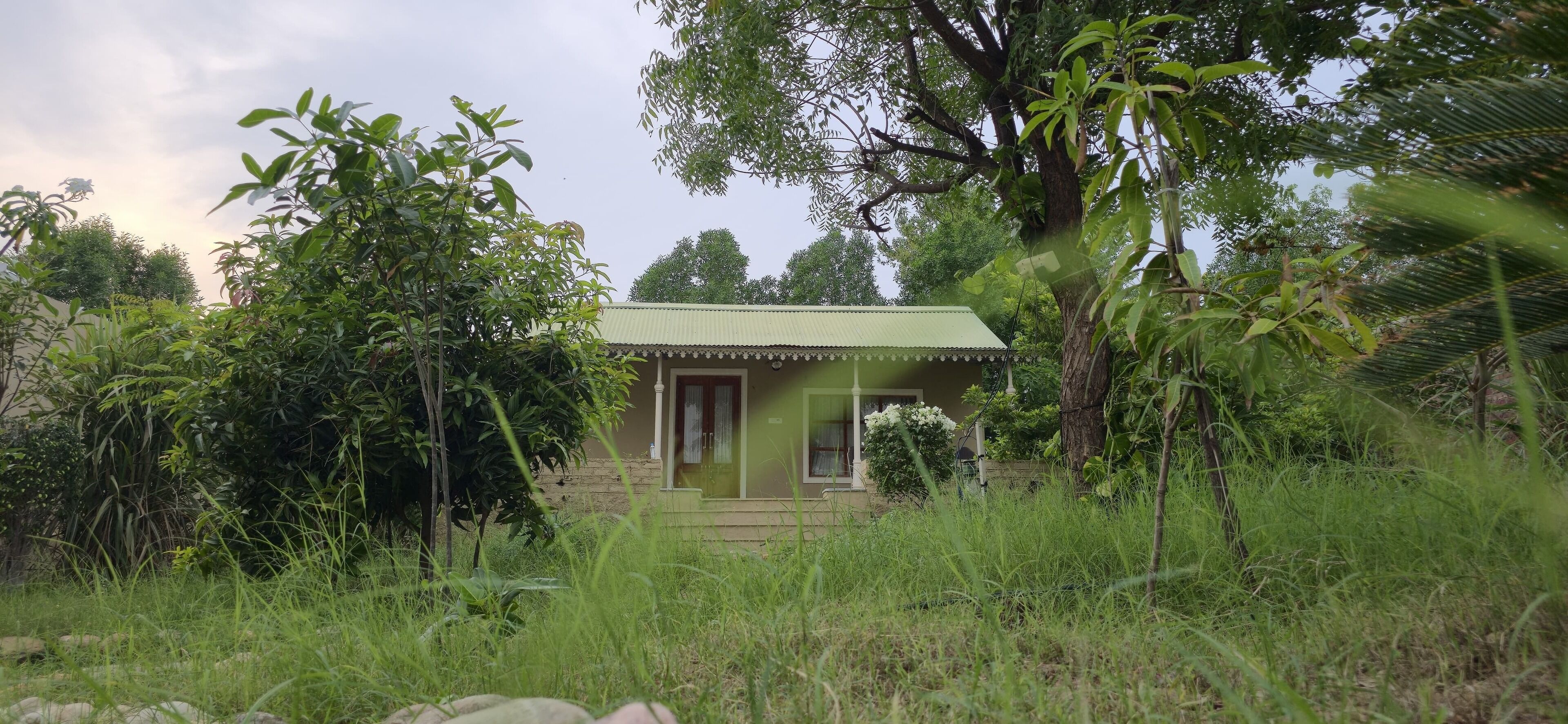 A small, single-story building with a green roof, surrounded by dense vegetation and trees.