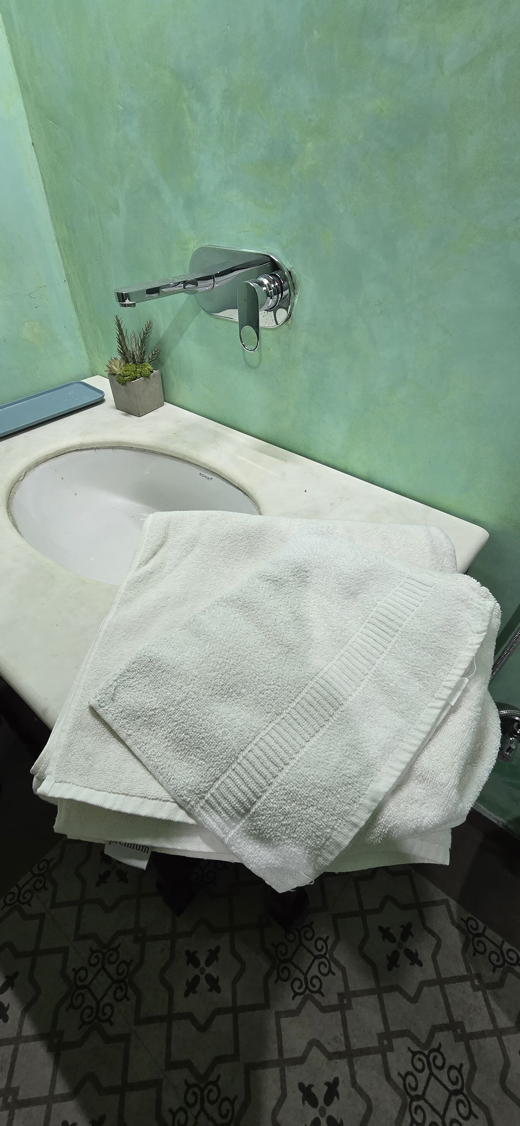 A bathroom with a sink, a towel, and a small potted plant.