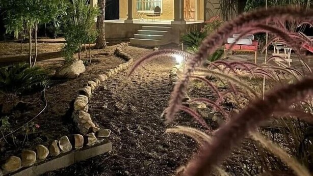Une maison moderne dotée d’une entrée bien éclairée, entourée d’un jardin aménagé avec des palmiers et un chemin en pierre.