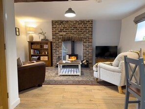 Televisión, chimenea