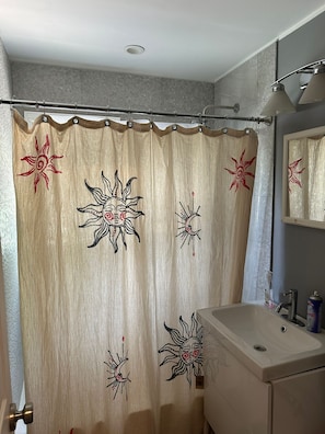 Hair dryer, bidet, towels