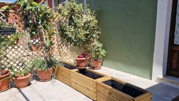 Parco della struttura