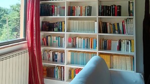 Uklassifisert bilde, 5 av 25, knapp
