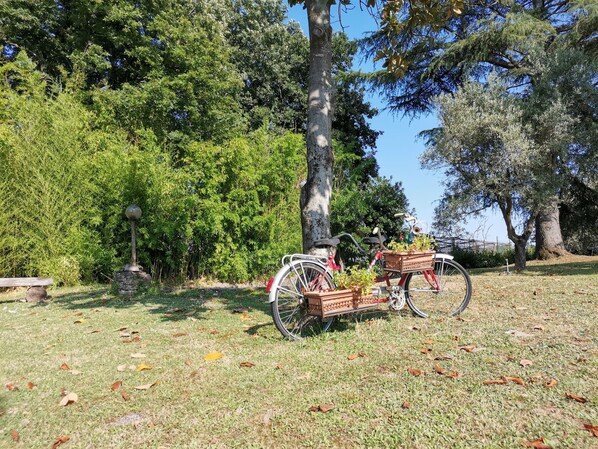 House, 2 Bedrooms, Private Pool, Garden View | Property grounds