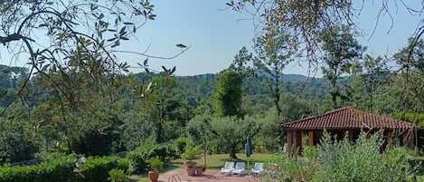 Maison, 2 chambres, piscine privée, vue jardin | Piscine