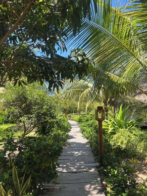 Blick auf den Garten