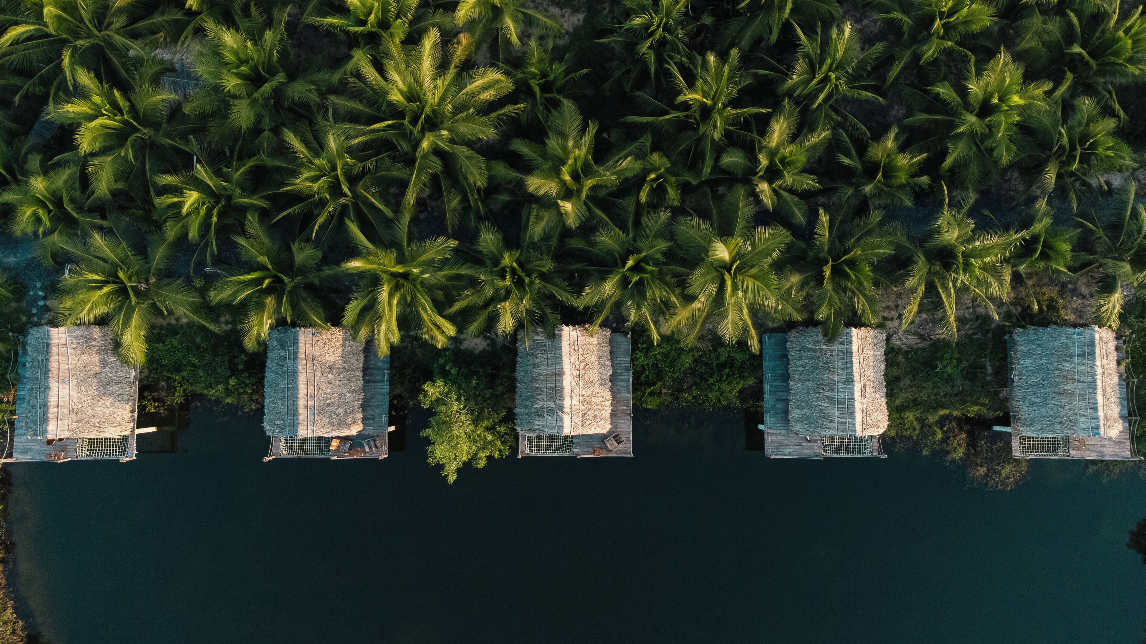 An aerial view of a resort with multiple thatched-roof structures aligned along a water body, surrounded by dense palm trees.