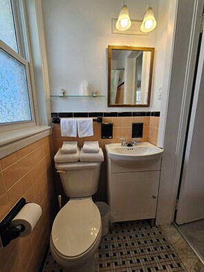Chambre de base double, vue sur la ville | Salle de bain | Douche, serviettes fournies, savon, shampooing