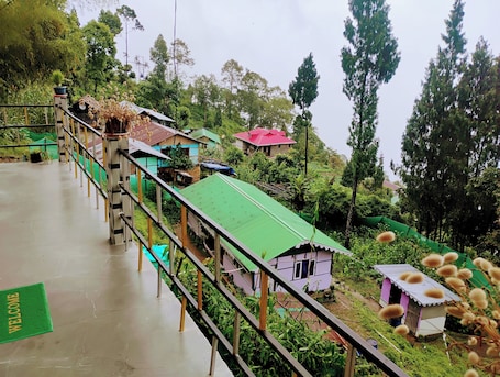 Jardín