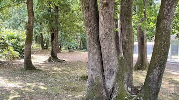 Enceinte de lâhĂ©bergement