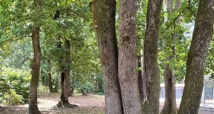 Villa Ă  proximitĂ© mer, et forĂȘt, dans un village au port ostrĂ©icole pittoresque