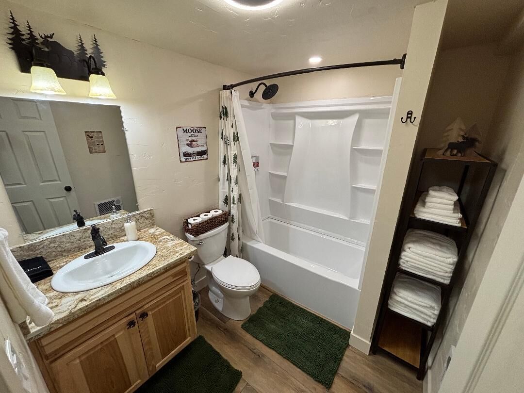 Hair dryer, towels, soap, shampoo