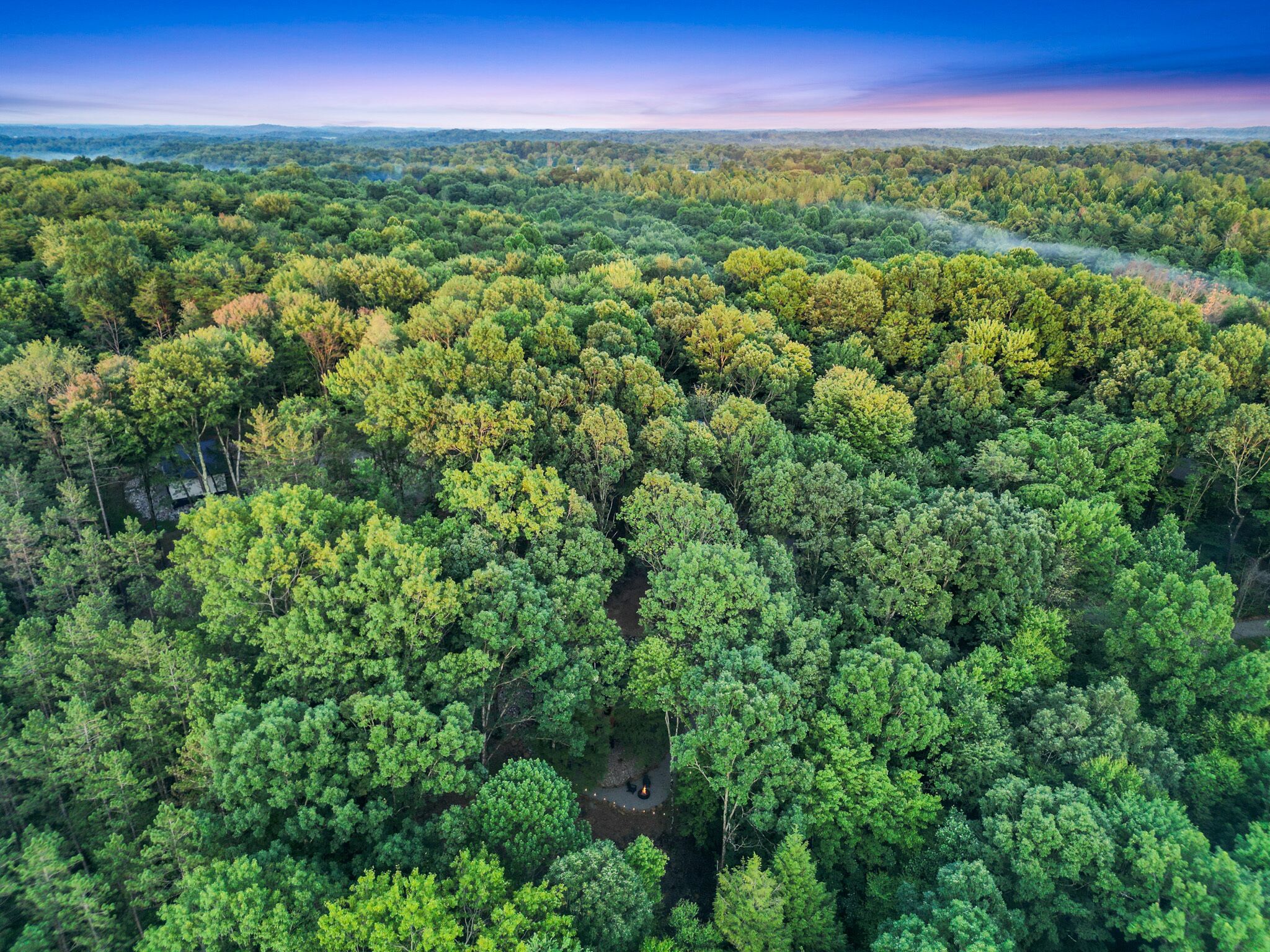 Vista aérea de uma floresta densa com uma pequena clareira no centro.