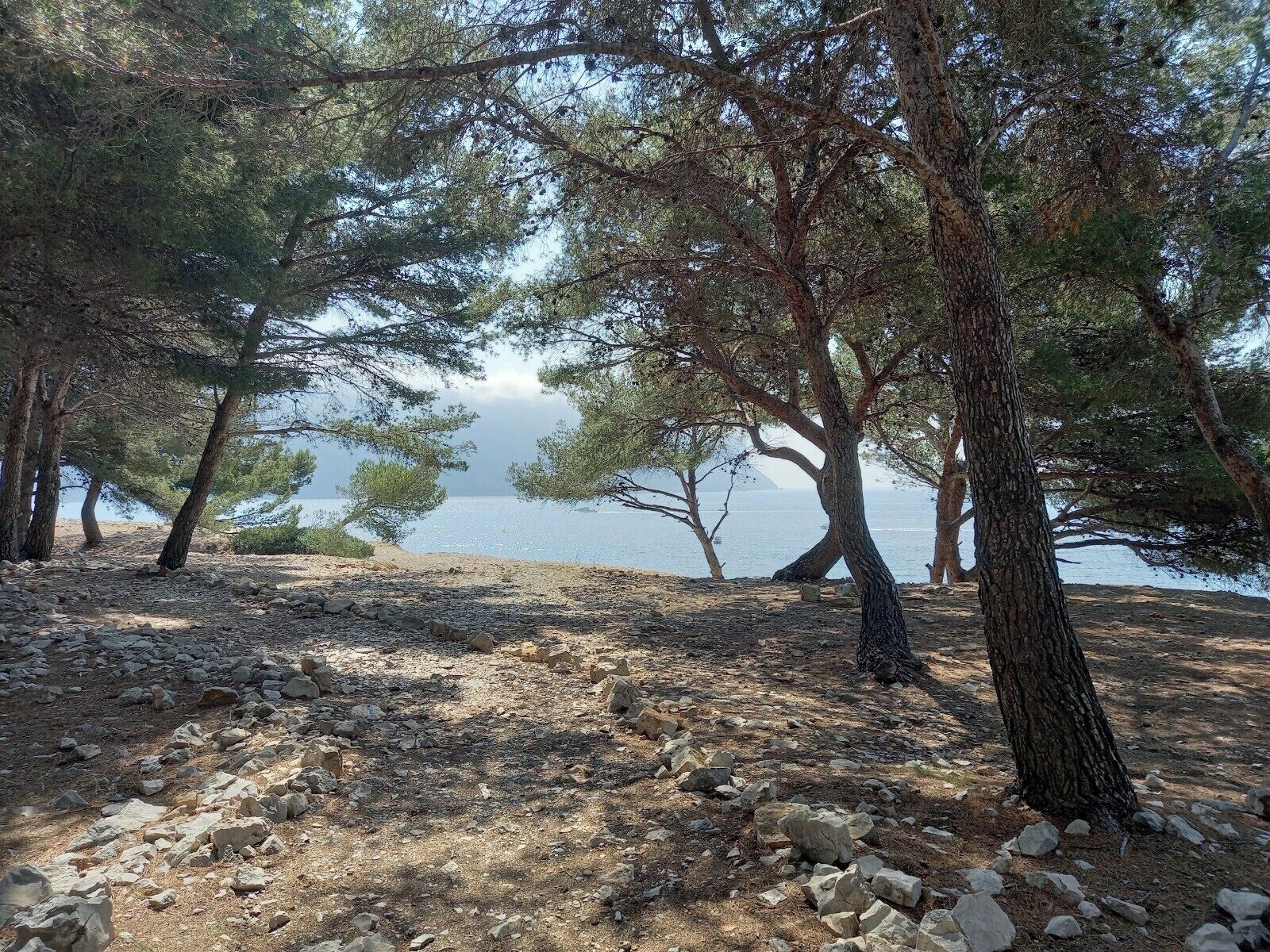 A rocky beach area with trees and a view of the sea.