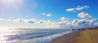 Wonderful large house for large groups 15' from the sea. Pets allowed.