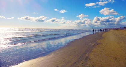 Wonderful large house for large groups 15' from the sea. Pets allowed.