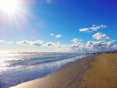 Wonderful large house for large groups 15' from the sea. Pets allowed.