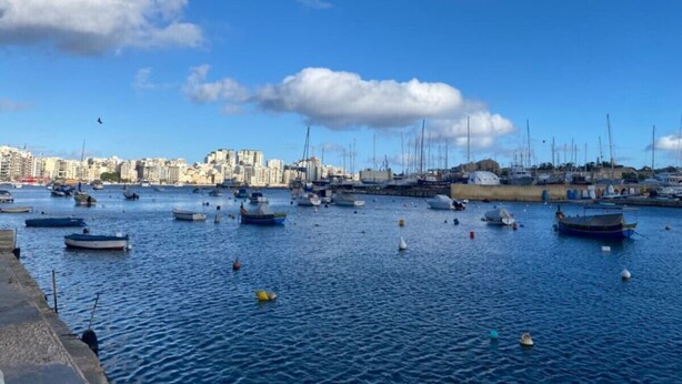 Un puerto deportivo con numerosas embarcaciones amarradas, un cielo despejado y un paisaje urbano al fondo.