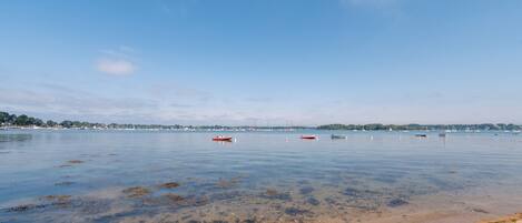 بالقرب من الشاطئ