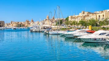 Un port de plaisance où sont amarrés plusieurs bateaux, un ciel bleu dégagé et, au loin, des bâtiments historiques.