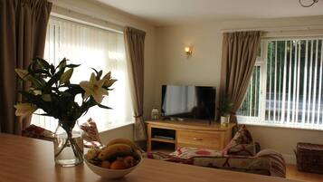 Smart TV, DVD player, books