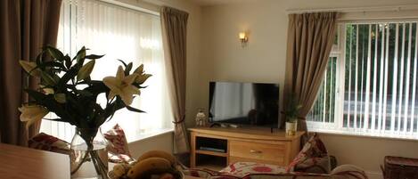 Smart TV, DVD player, books