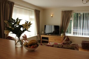 Smart TV, DVD player, books