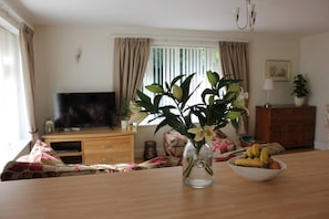 Smart-TV, DVD-Player, Bücher