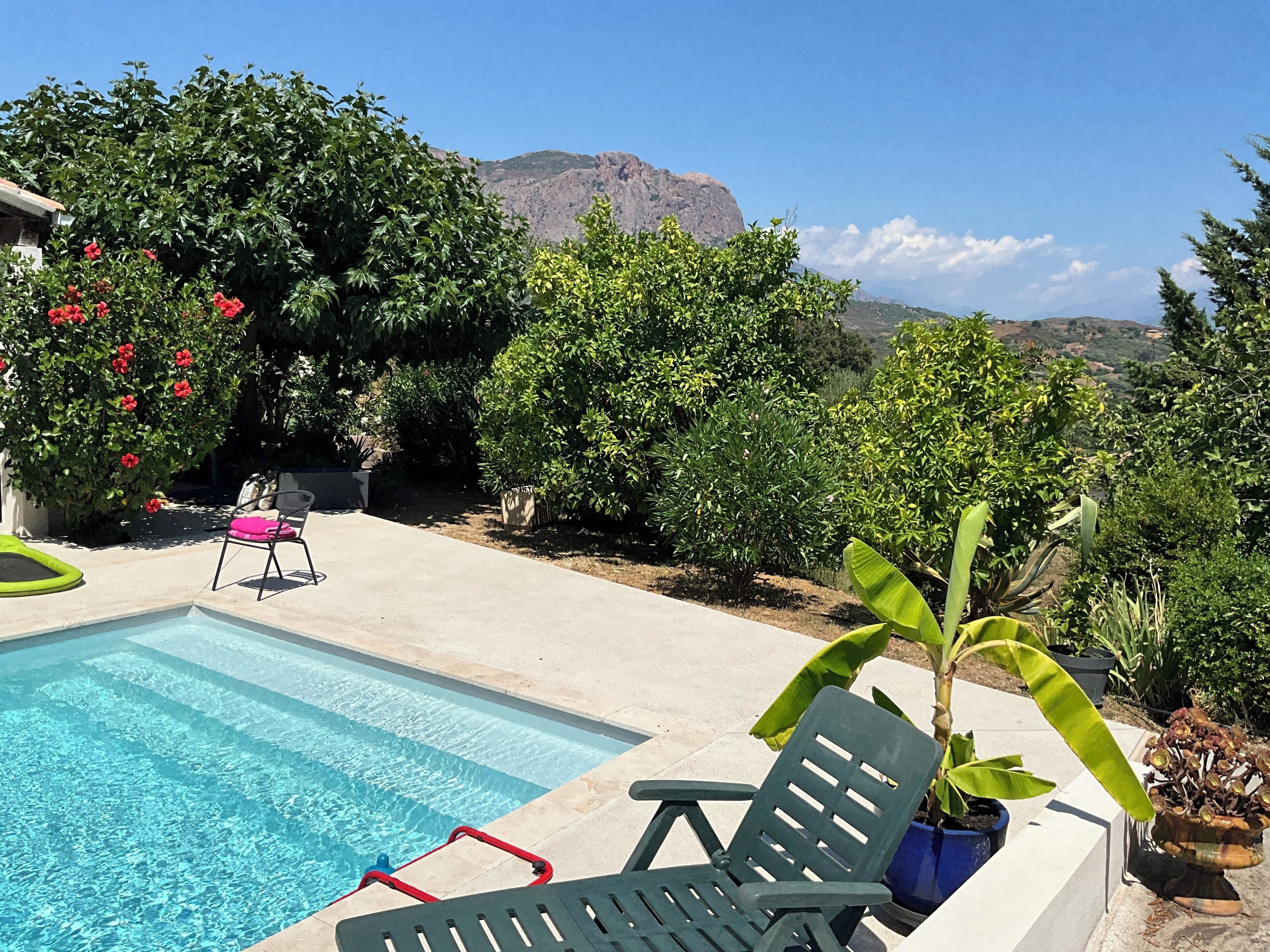 A pool with a chair and a potted plant.