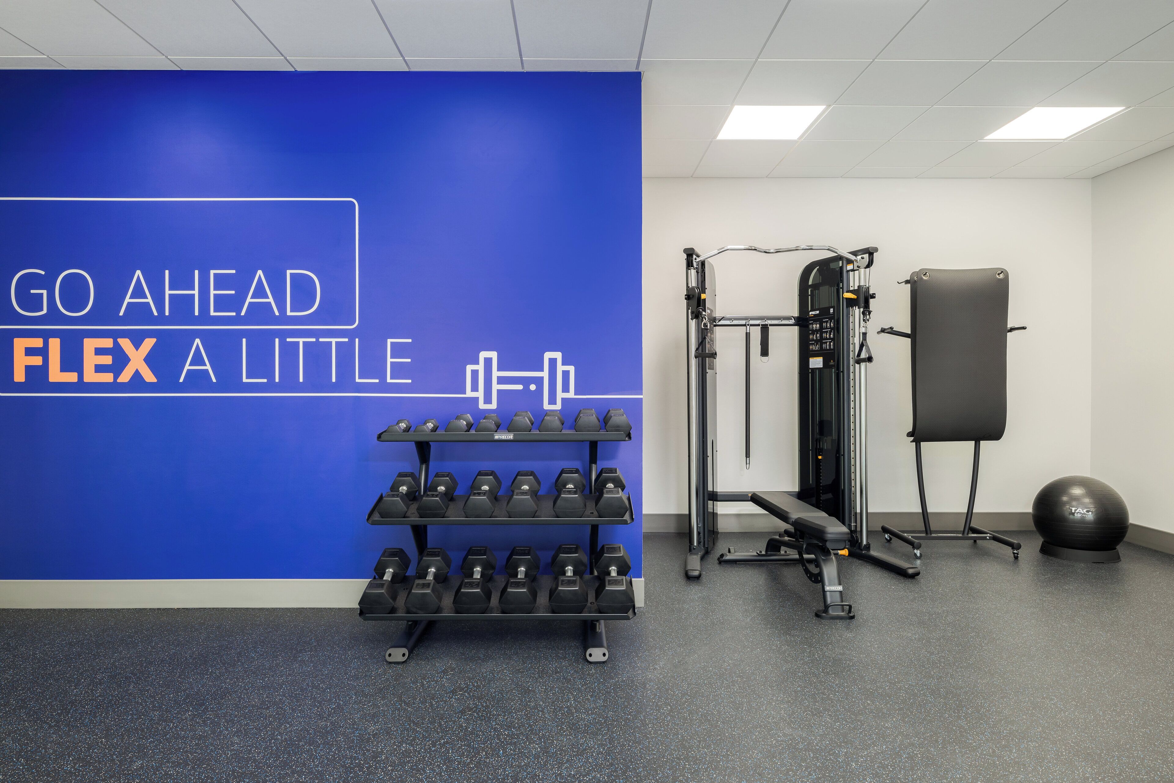 A gym with a blue wall, weight racks, a bench, a squat rack, and a medicine ball.