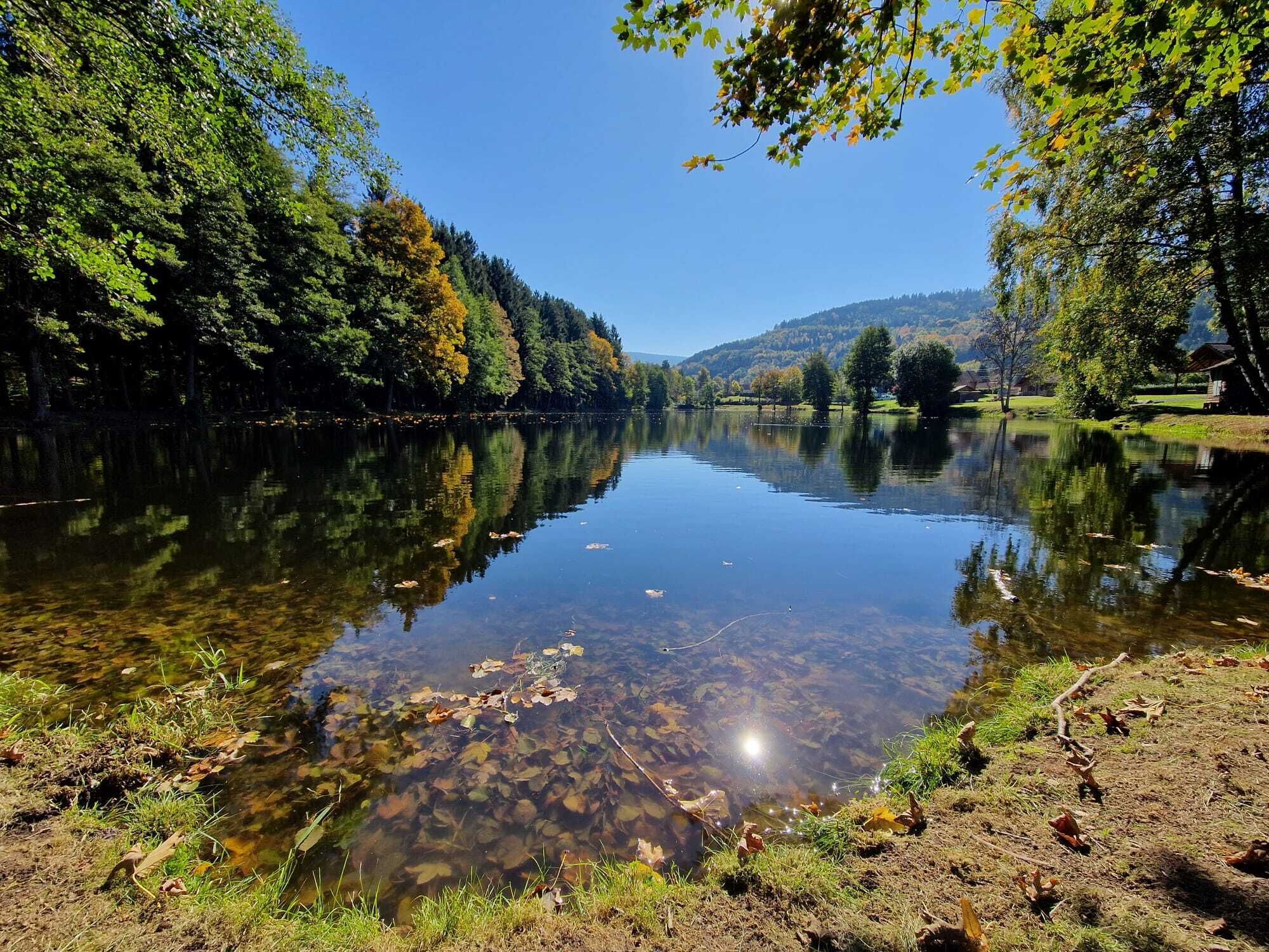 Un lago sereno con reflejos nítidos, rodeado de árboles frondosos y una colina distante.