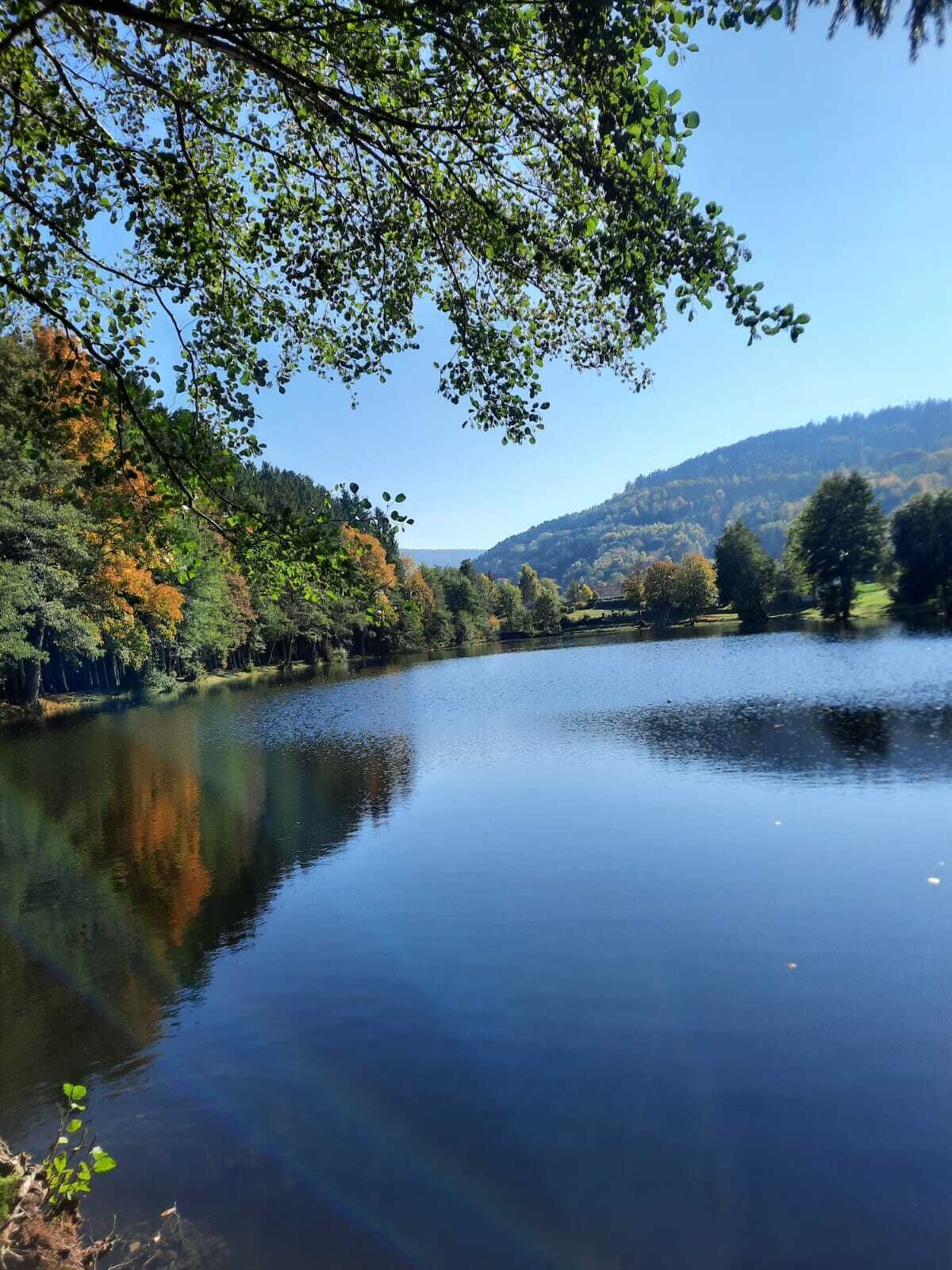 Un lac paisible, bordé d’arbres aux feuilles d’automne, qui reflète le ciel et les arbres.