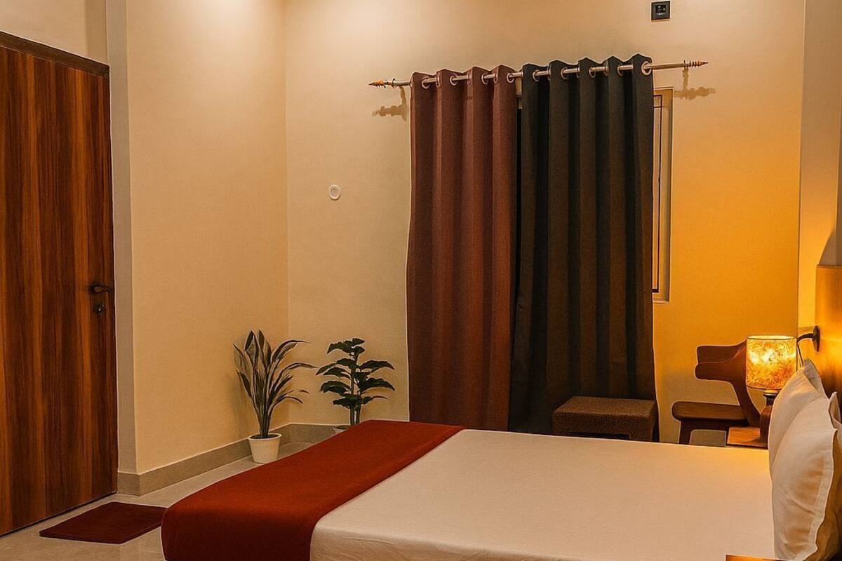 A bedroom with a bed, a ceiling fan, a nightstand, a lamp, and a plant.