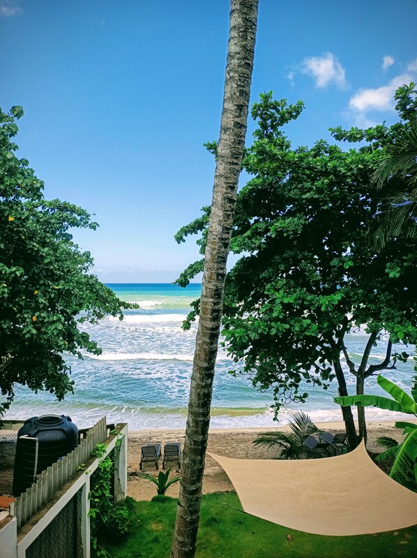 View from property