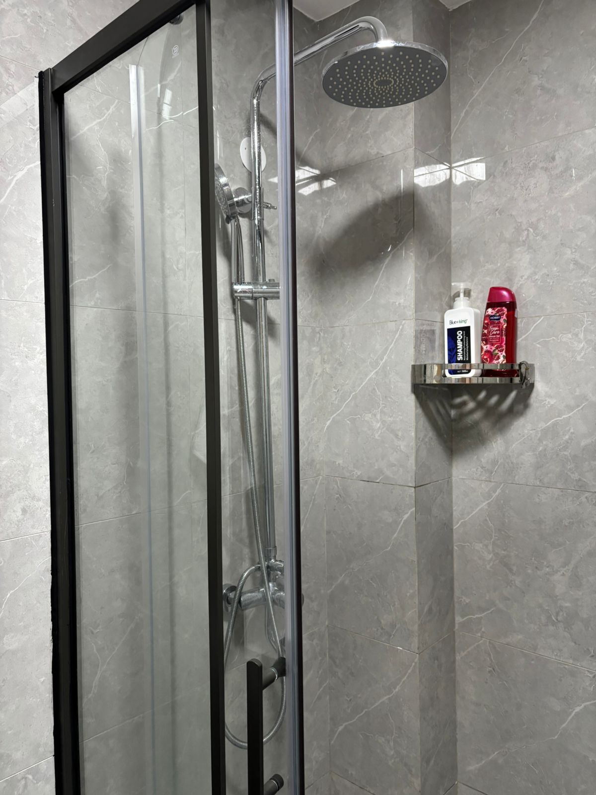 A glass-enclosed shower with a handheld showerhead and a handheld hose.
