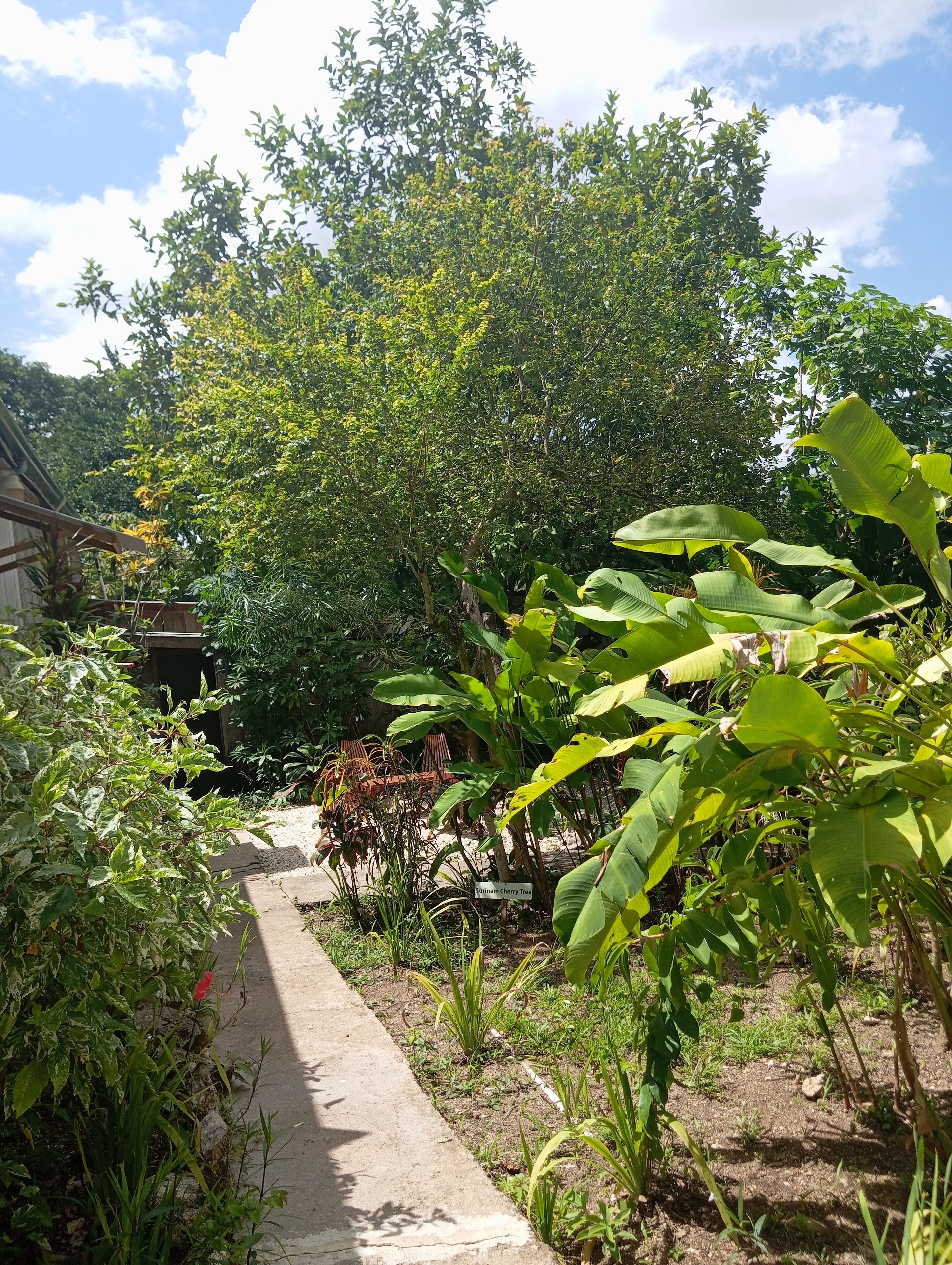 Overnatningsstedets område