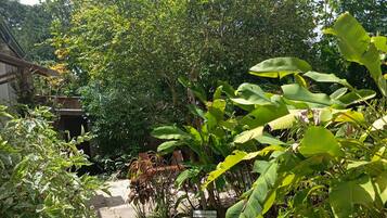 Overnatningsstedets område