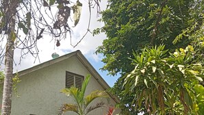 A building with a sloped roof, surrounded by lush greenery and a pathway leading to an office sign. - 3-Bedroom house, air-conditioned, private kitchen, private bathroom, living  room and a private garden. (Cayo)