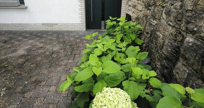 Modern vacation apartment in beautiful Sundern-Langscheid