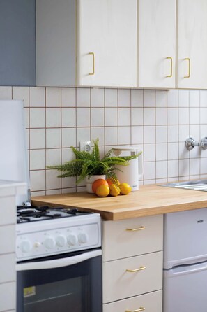 Fridge, oven, stovetop, cookware/dishes/utensils