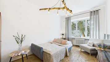 Iron/ironing board, WiFi, bed sheets