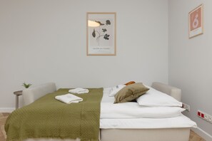 Iron/ironing board, WiFi, bed sheets