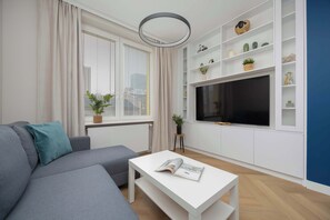 Fernseher, Arbeitsbereiche