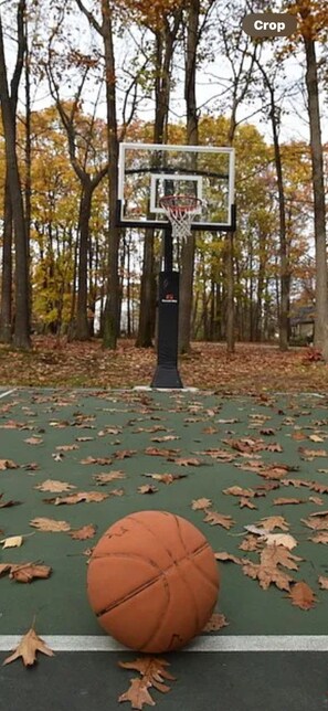 Sports court