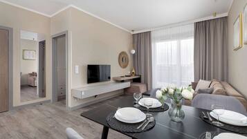 Fernseher, Arbeitsbereiche