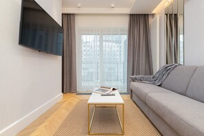 Fernseher, Arbeitsbereiche